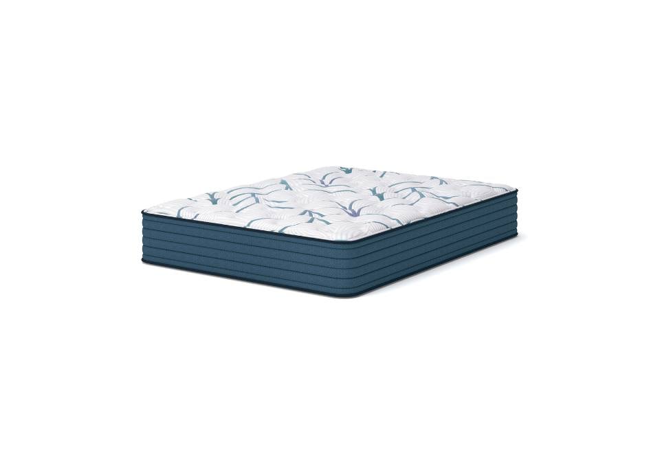 Limited Edition Plush Mattress