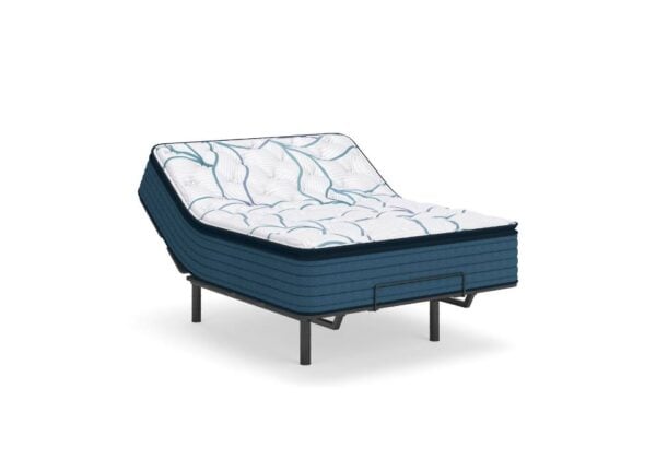 Limited Edition Plush Pillow Top Mattress - Image 2