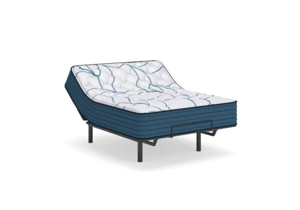 Limited Edition Plush Mattress - Image 2
