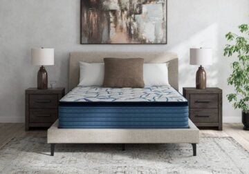 Limited Edition Plush Pillow Top Mattress - Image 3