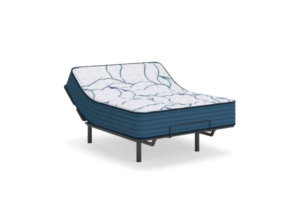 Limited Edition Firm Mattress - Image 2