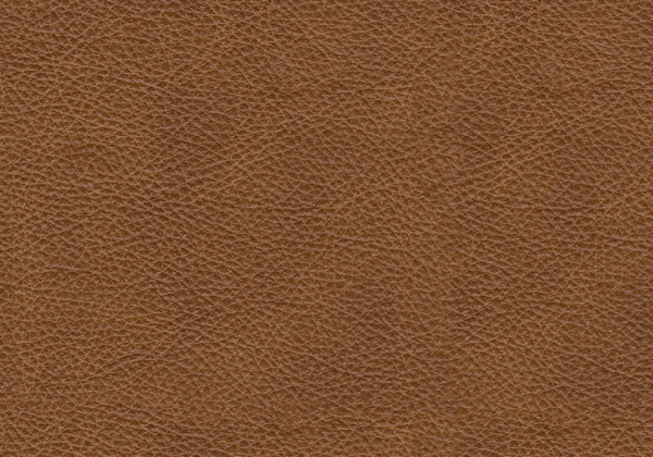 Emilia 2-Piece Sofa - Image 2