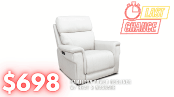 Last Chance Deal! - Hamilton Power Recliner