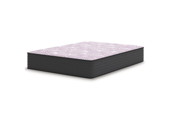BL Plush Queen Mattress