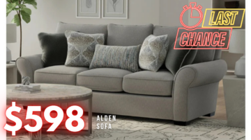 Last Chance Deal! - Alden Stone Sofa