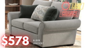Last Chance Deal! - Alden Stone Loveseat
