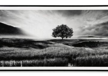Deborland Black/White Wall Art