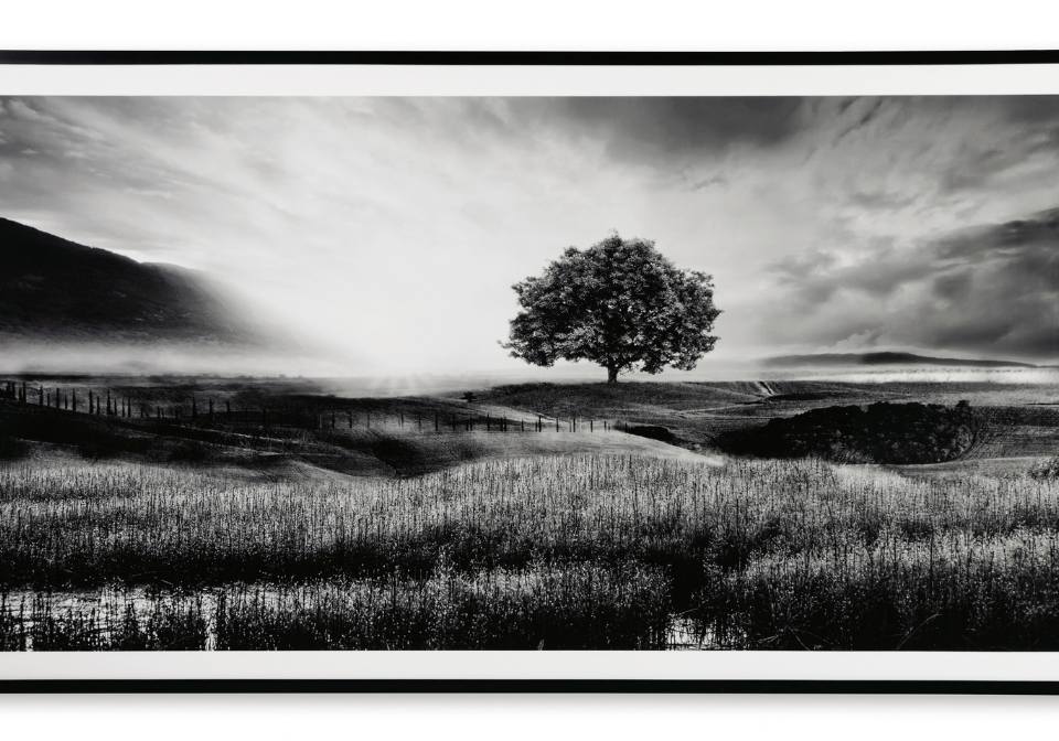 Deborland Black/White Wall Art