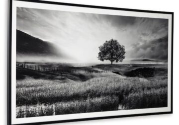 Deborland Black/White Wall Art - Image 2