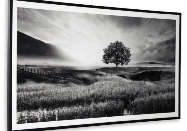 Deborland Black/White Wall Art - Image 2